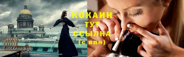 мяу мяу мука Бородино