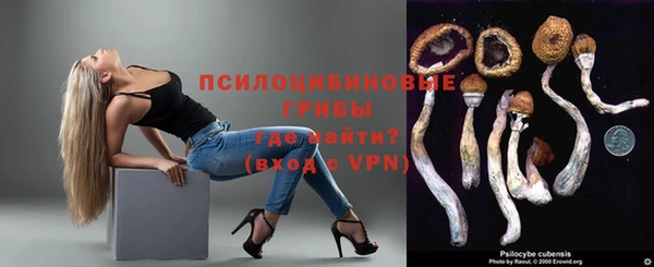 гидра Бугульма