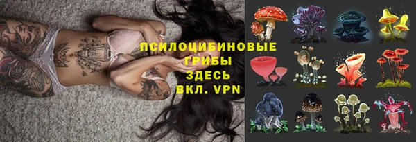 мяу мяу мука Бородино