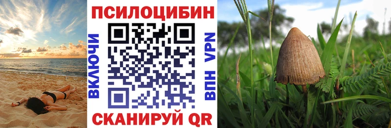 Галлюциногенные грибы Cubensis Верхняя Пышма