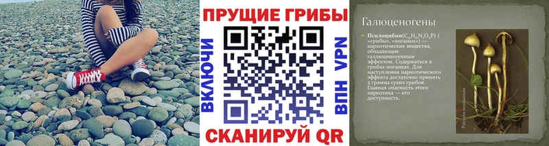 Галлюциногенные грибы Cubensis  закладки  Верхняя Пышма 