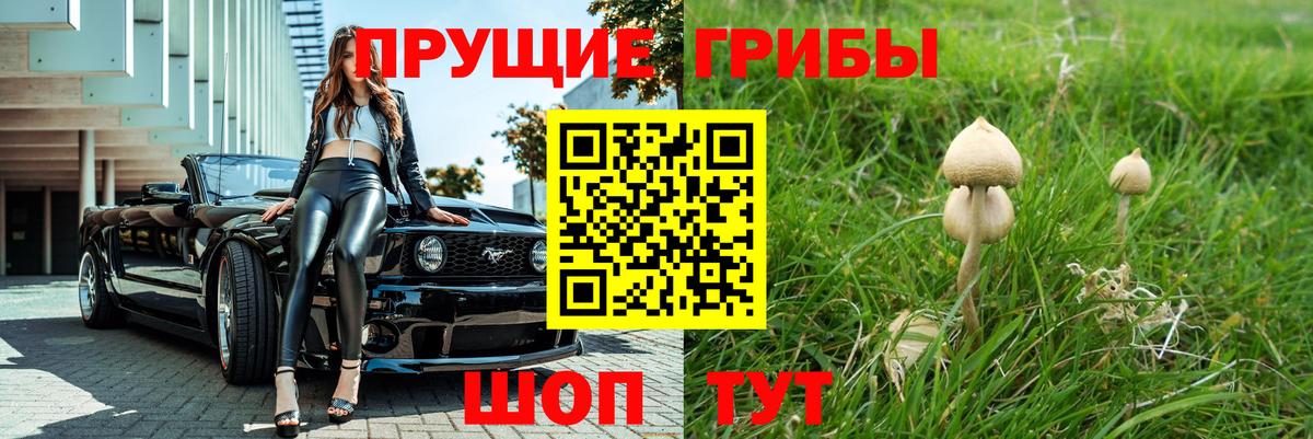 Галлюциногенные грибы ЛСД Верхняя Пышма